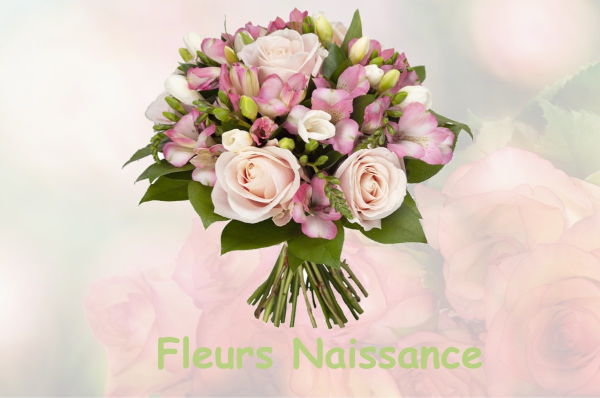 fleurs naissance COLLONGES-LA-ROUGE